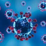 covid-virus-3d-modeling-750x536