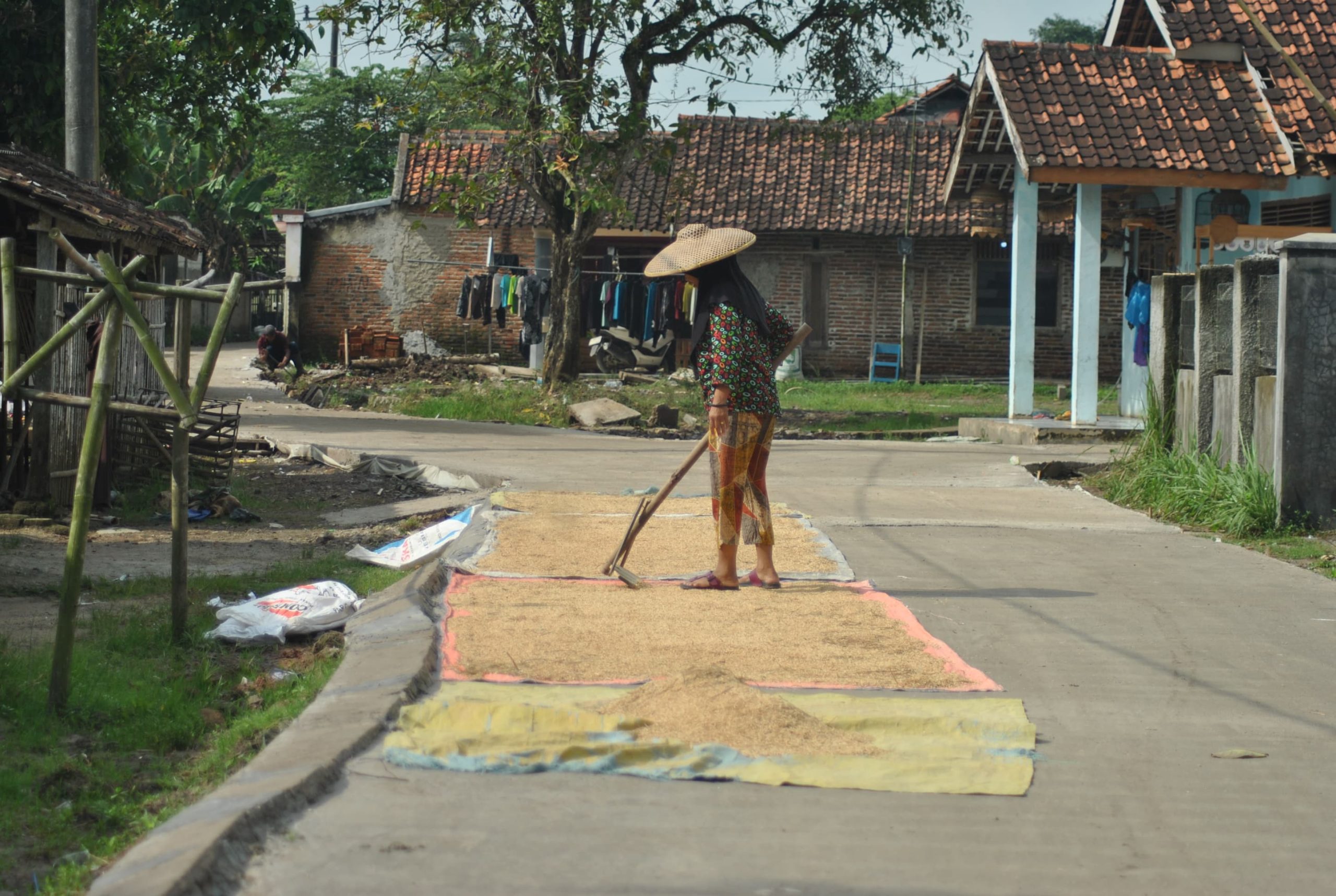 Tampak Bu Edah warga setempat manfaatkan jalan baru hasil TMMD ke 123 Kodim 0510/Tigaraksa untuk jemur padi. (ist