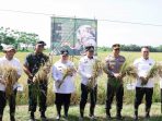 Bupati dan Wakil Bupati Tangerang Bersama Forkopimda Panen Raya Padi Bareng Presiden di 14 Provinsi. (Ist)