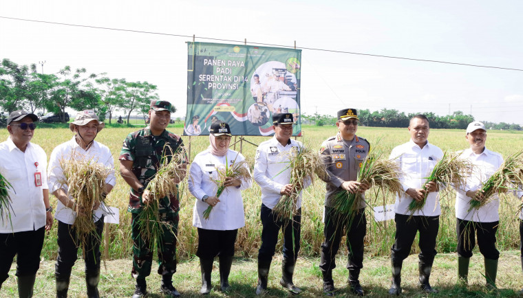 Bupati dan Wakil Bupati Tangerang Bersama Forkopimda Panen Raya Padi Bareng Presiden di 14 Provinsi. (Ist)