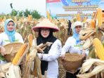berita-11d791d8-469d-4429-abad-365577ed0568