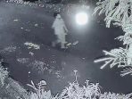 IMG-20260706-WA0009