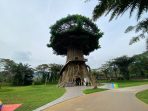 Foto 2. Tree of Life